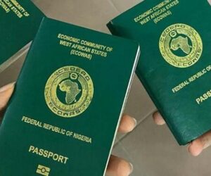FG Increases Passport Fees As NIS Promises Improved Service