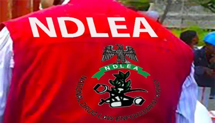 NDLEA Destroys 43 Cannabis Farms, Arrests 1,315 In Seven Months