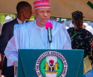 Gov Yusuf moves to probe sale of Abattoir under Ganduje – Daily Trust