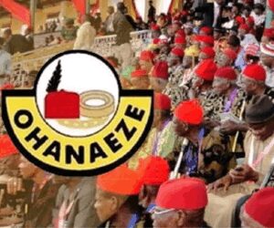 Ohanaeze Ndigbo Praises Tinubu for Southeast Infrastructure