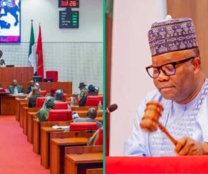 Amount Senators Earn Uncovered and How It’s Capable of Paying Salaries of Over 4000 Professors