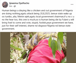 Armed herdsmen k!ll mother, son and two others in fresh Benue attack