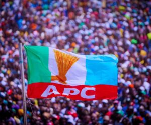 APC demands cancellation of Kano by-election over violence – Daily Trust