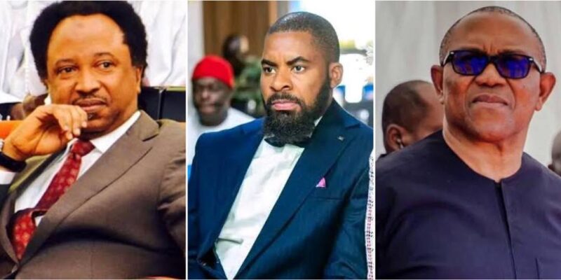 “Not everything in your mind should be posted” – Shehu Sani advises youths amid Peter Obi-Deji saga