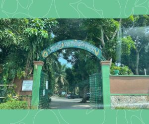 My Favourite Random Places in Lagos That Make Me Happy For No Reason