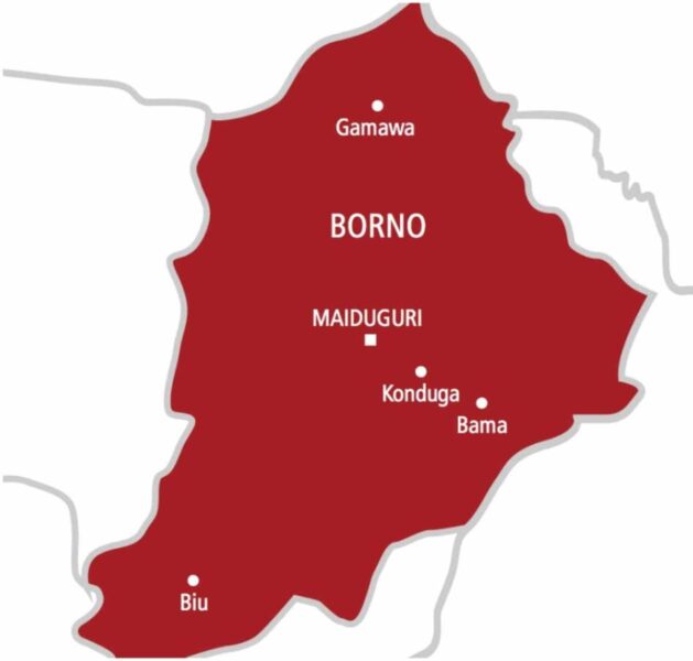 Maiduguri cleaner returns N4.8m, says fear of God guided her