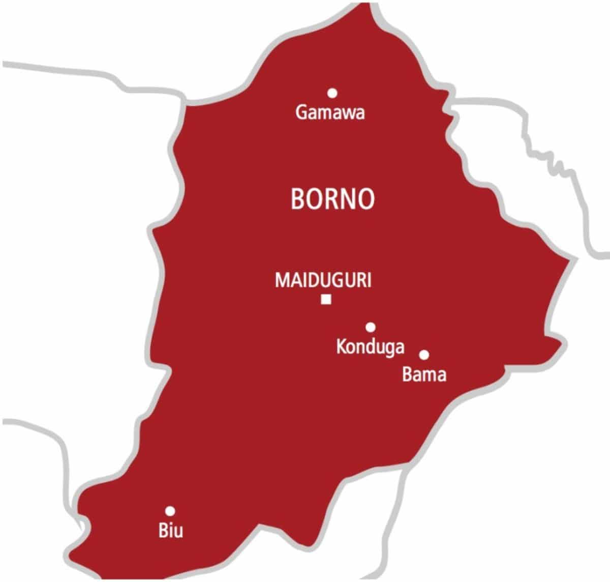Maiduguri cleaner returns N4.8m, says fear of God guided her