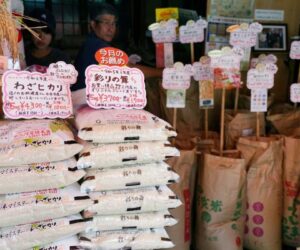 Rice prices up 91 pct year-on-year in Japan