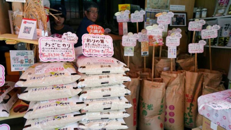 Rice prices up 91 pct year-on-year in Japan