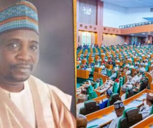 APC lawmaker says Rep members pay about N3m each to present bills, motions