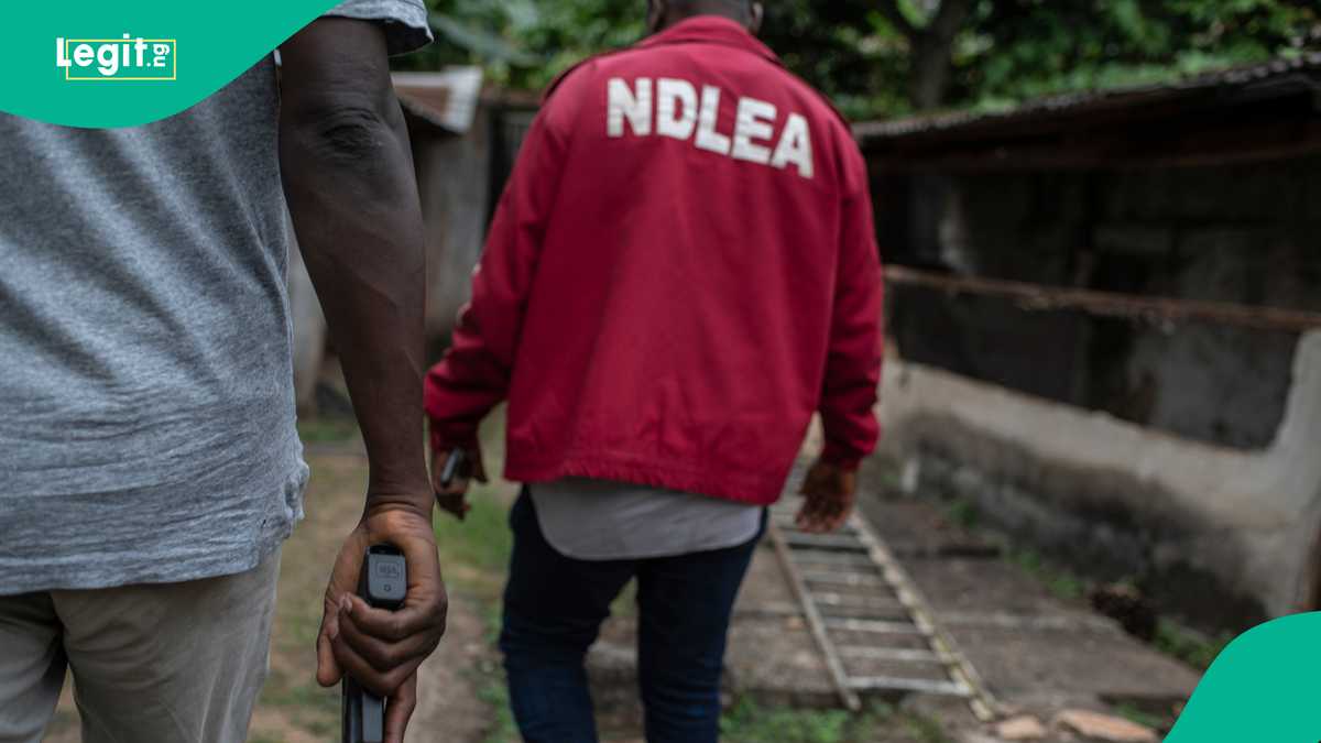 How Members of Popular Airline Swapped Bags of Innocent Nigerians With Exhibit, NDLEA Reacts