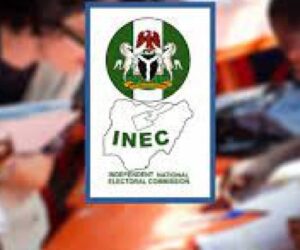 INEC disqualifies 157 aspiring political parties, invites 14 for screening