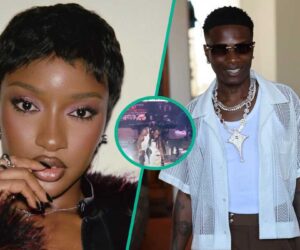 Ayra Starr, Wizkid, 3 Other Nigerian Singers Who Suffered Embarrassing Falls on Stage