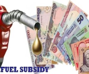 Governors, stop squandering fuel subsidy windfall – Daily Trust