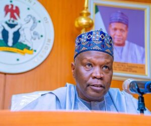 Gombe gov signs bill for 13 LCDAs, prioritises 4 sectors