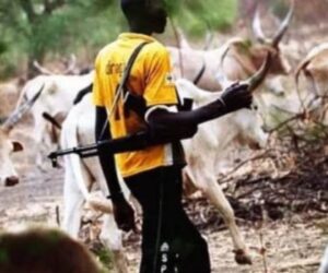 Herders Ask Security Agencies, Others To Disregard Alleged Killings In Bokkos