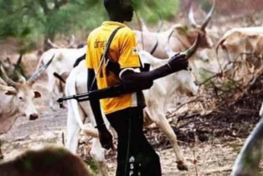 Herders Ask Security Agencies, Others To Disregard Alleged Killings In Bokkos