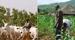 Herdsmen kill vigilante, abduct one