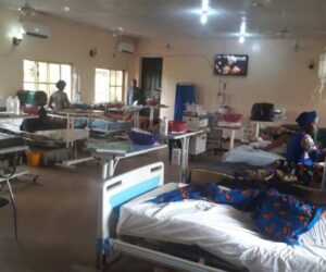 ‘Nigeria Cannot Grow Economically Without Investing In Health Sector’