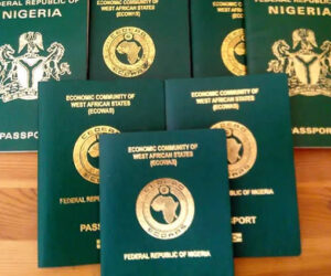 Reverse passport fees hike, SERAP tells Tinubu – Daily Trust