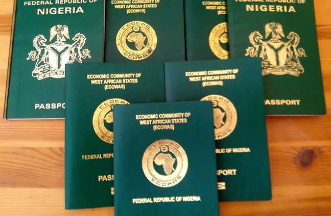 Reverse passport fees hike, SERAP tells Tinubu – Daily Trust