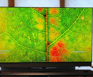 Panasonic Z95B review: a flagship OLED TV that combines refined pictures with powerful sound