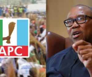 Labour Party fractured, Obidient movement fading out — APC mocks Obi
