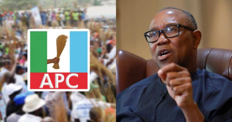 Labour Party fractured, Obidient movement fading out — APC mocks Obi
