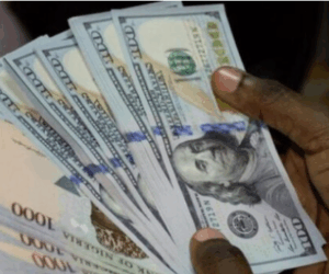 Naira to dollar: Nigeria’s external reserves up by $890m to $41bn