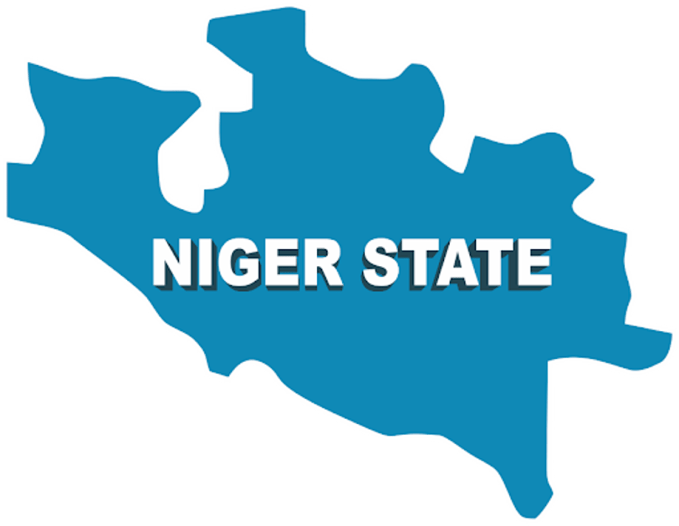 Woman burnt alive in Niger – Daily Trust