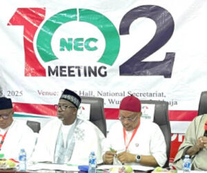 PDP shuts out North – Daily Trust
