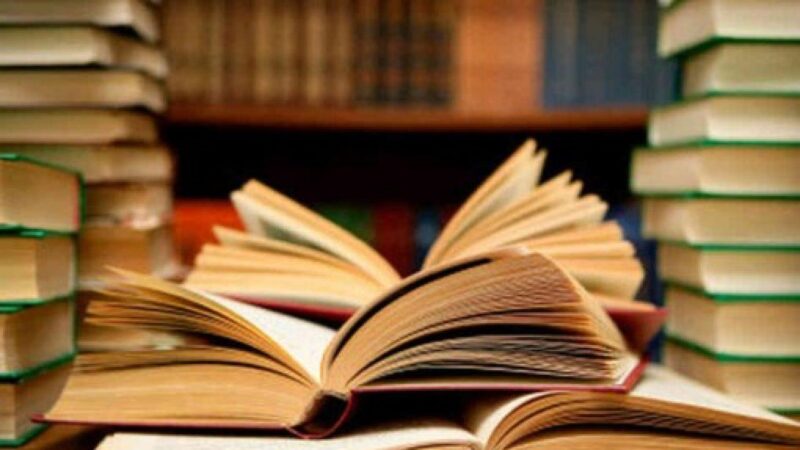 Creative confidence: Why children must read books