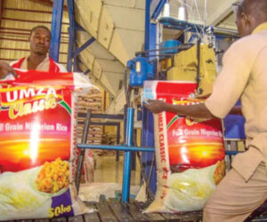 Rice mills collapsing – Daily Trust