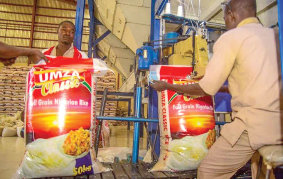 Rice mills collapsing – Daily Trust