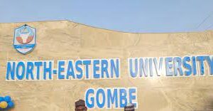 Gombe unveils 103 revitalised health centres to transform rural areas