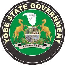 Yobe govt unveils plan to save 467,976 lives – Daily Trust