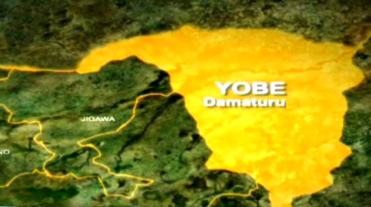 Two children k!lled in Yobe Village Fire outbreak