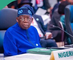 “Declare State of Emergency in North,” Northern Elders Tell Tinubu, Give Reason