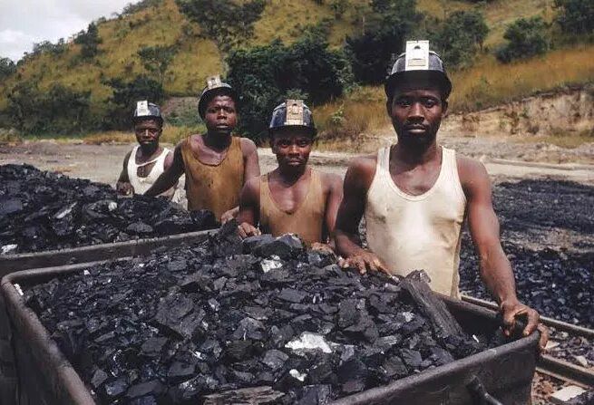 The forest is paying, but Nigeria isn’t collecting