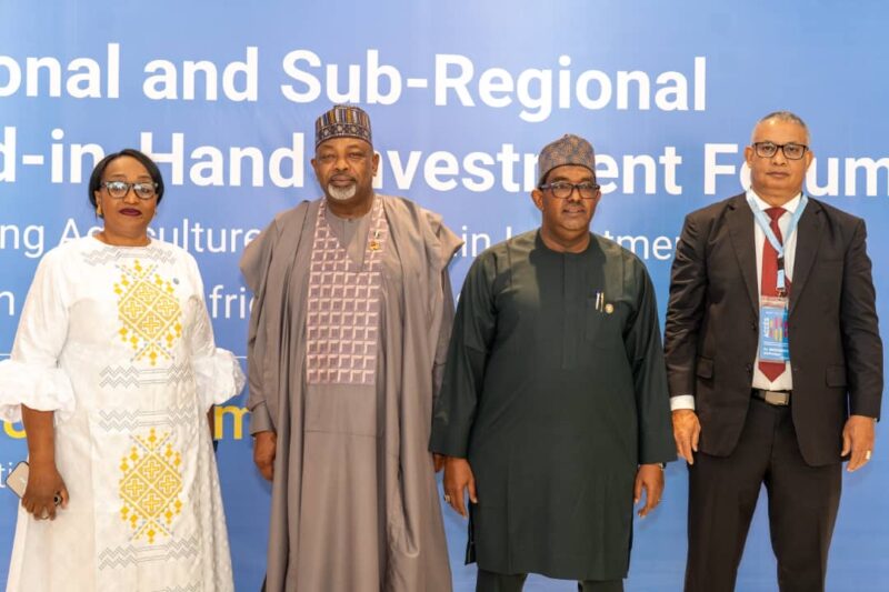 Nigeria, Others Seek Partnerships, Investments To Bridge Irrigation Gap – FAO