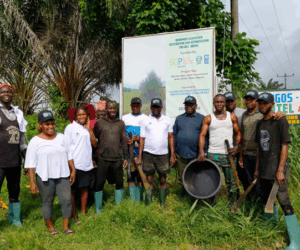 Okonla Mangrove Project Targets 10,000 Tonnes Of CO₂ Sequestration Annually – Independent Newspaper Nigeria