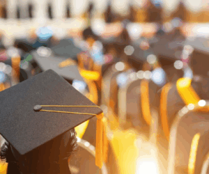 U.S. faces sharp decline in international student enrollment amid visa crackdowns