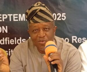 Northern group pledges support for Tinubu, dismisses claims of region’s marginalisation