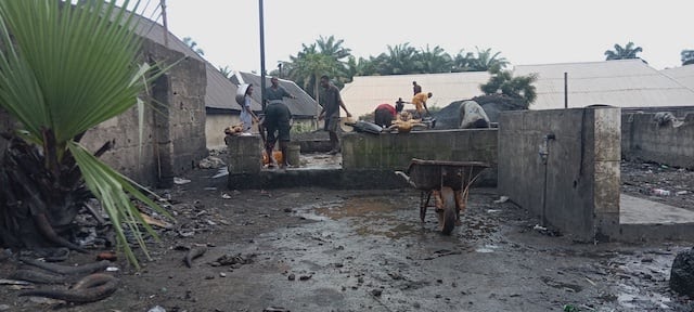 Nasarawa threatens shutdown of LG abattoir over poor sanitation