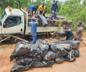 Police intercept 127 bags of cannabis concealed in Yam truck – Daily Trust
