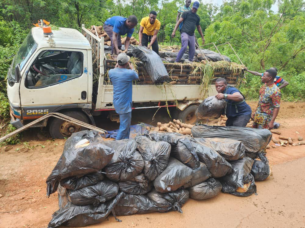 Police intercept 127 bags of cannabis concealed in Yam truck – Daily Trust