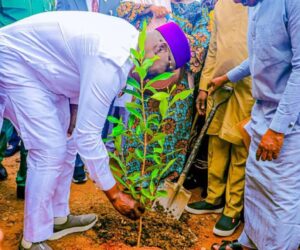 Nasarawa: Governor launches tree-planting campaign