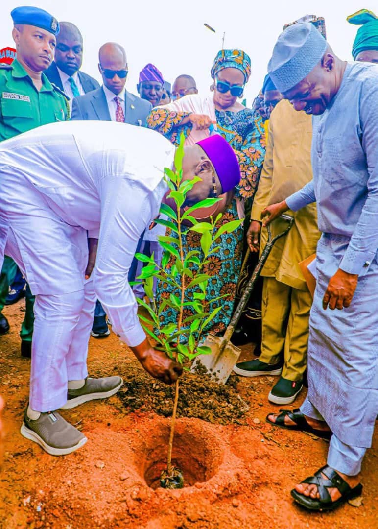 Nasarawa: Governor launches tree-planting campaign