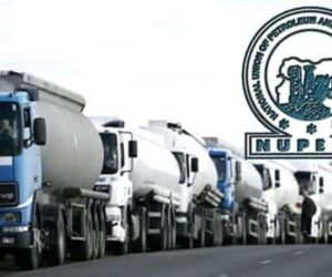 Tinubu Govt Summons Emergency Meeting Over NUPENG Strike