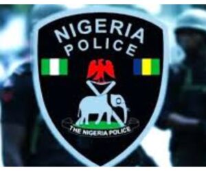 Kebbi: police arrest cattle rustler, recover stolen cows, vehicle